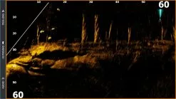 Lowrance ActiveTarget Transducer Only -Kylmäkassit ja kylmälaukut Sales Store 000 15594 001 6