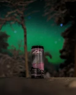 Latitude 65 24x330ml -Kylmäkassit ja kylmälaukut Sales Store L6524PACK 4